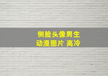 侧脸头像男生动漫图片 高冷